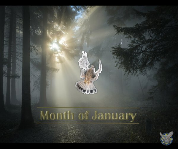 Month Of January Spiritual Meaning