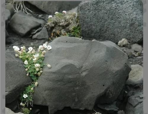 Lava Stone Meaning And Spiritual Meaning