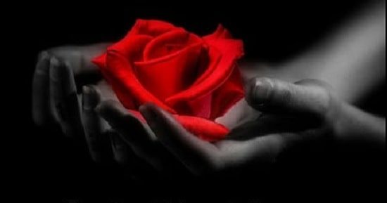 Love Poems The Soul Mate Collection