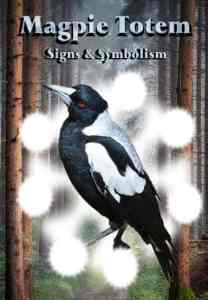 1 MAGPIE MEANING IN THE BIBLE intelligence overview