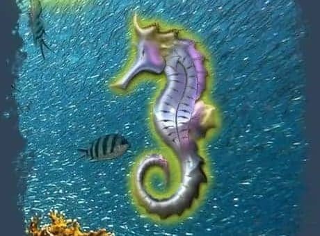 Seahorse Totem Animal Meaning