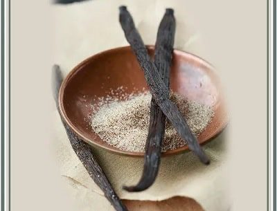 Vanilla Plant and Scent Spiritual Meaning