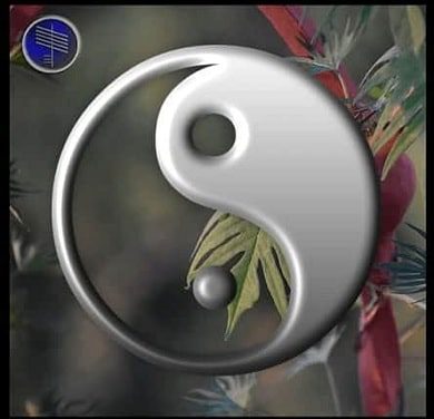Yin Yang Meaning And Symbolism