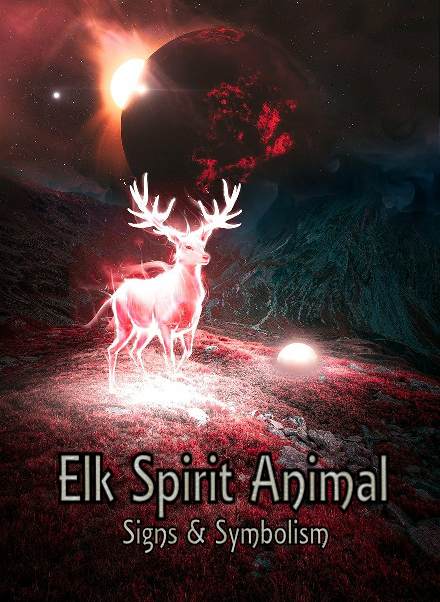 Elk Totem Spiritual Meaning
