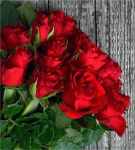 red rose meaning